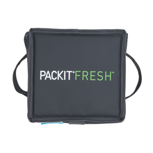 Load image into Gallery viewer, EcoFreeze®Ice Cream Tote PRO
