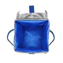 Load image into Gallery viewer, EcoFreeze® Ice Cream Tote
